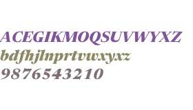 Newsreader 60pt ExtraBold