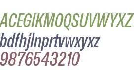 Mona-Sans Medium Narrow Italic