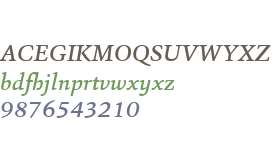 Sina W01 Medium Italic