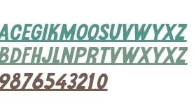 Wtf Horseland Oblique Underline