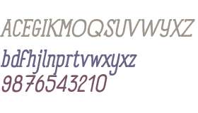Panforte Serif W01 Italic
