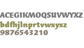 Linotype Syntax Letter W01 Bk