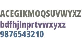 Noto Sans Devanagari ExtraCondensed Black