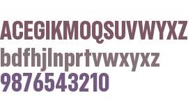 Blackbird Test Condensed Extra Bold