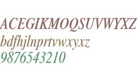 Xerox Serif Narrow Italic