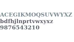 Prima Serif W01 Bold