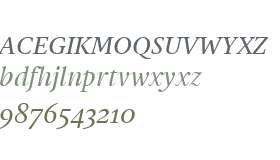 Gauthier FY W01 Medium Italic