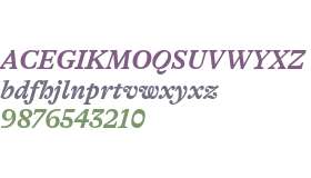 GT Alpina Trial Bold Italic