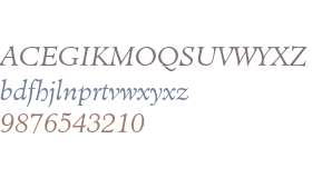 Minister Light Italic