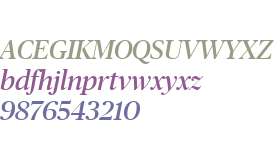 Publico Banner Web Roman Italic