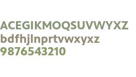 PBS Sans Bold