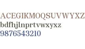 Copyright Bolditalic Studio Dentegra Display Medium Trial