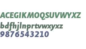 EurekaSansWeb-BlackItalic W03