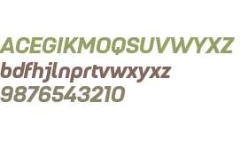 Petrov Sans ExtraBold Italic