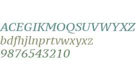 PT Serif Caption Italic V1