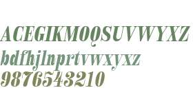 Royalis Test Bold Cond Oblique