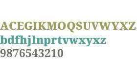 Noto Serif Bengali Black