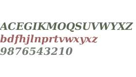 DejaVu Serif Bold Italic V2