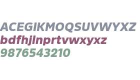 Amsi Pro Black Italic