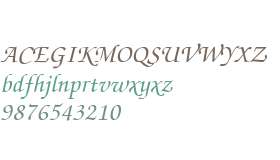 Chancery Script Medium SSi Medium Italic