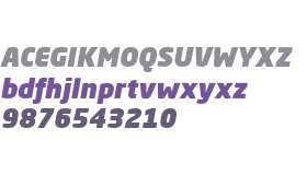 Neo Sans W01 Ultra Italic