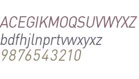 SapientSansRegularItalic