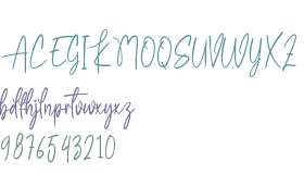 Wedding Signature