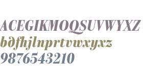 e83fafda0797e443 - subset of Parmigiano Text Pro Blk Ita