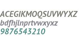 PT Sans W01 Bold Italic