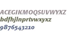Page Sans OT W01 Bold Italic