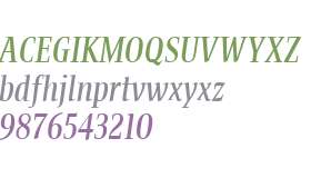 Bartholeme Medium W01 Italic