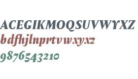 Test_Amster Black Italic