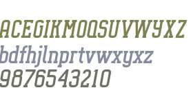 Octanis Slab Italic