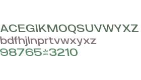 FSP DEMO - Mld Smxpndd-Mdm Rvrs