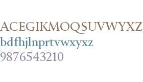 Rizoma Test S Medium