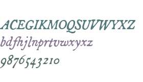 Broadsheet W01 Italic
