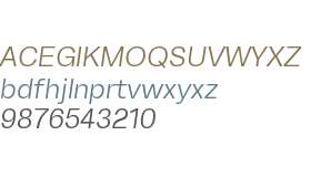 TurkeltonTwo Light Italic