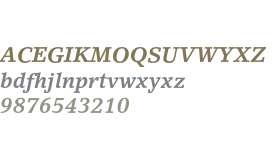 LinoLetter Std Bold Italic