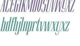 Slim Kim W01 Plain Italic