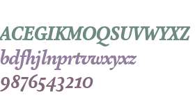 AtmaSerifWeb W03 BlackItalic