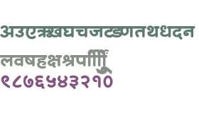 SHREE-DEV7-4919