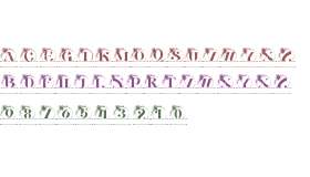 Aurora Bloom Monogram Line