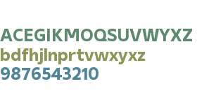 Gelder Sans Test Bold