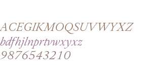 Allrounder Antiqua Test Book Italic