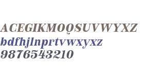 Royalis Text Test Medium Oblique