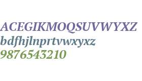 PT Serif W01 Bold Italic