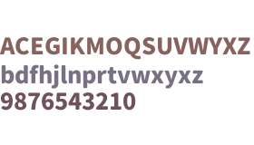 Gen Jyuu Gothic LP Heavy