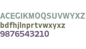 Ambiguity Normate Bold