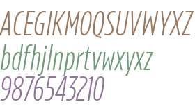 Konsole italic v1.1 TRIAL Cond Light