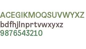 Brezel Grotesk Trial Medium